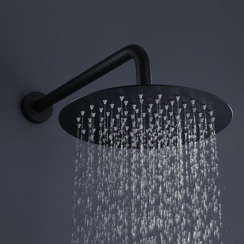 Fizen 10 In Rain Shower System with Handheld Shower in Matte Black