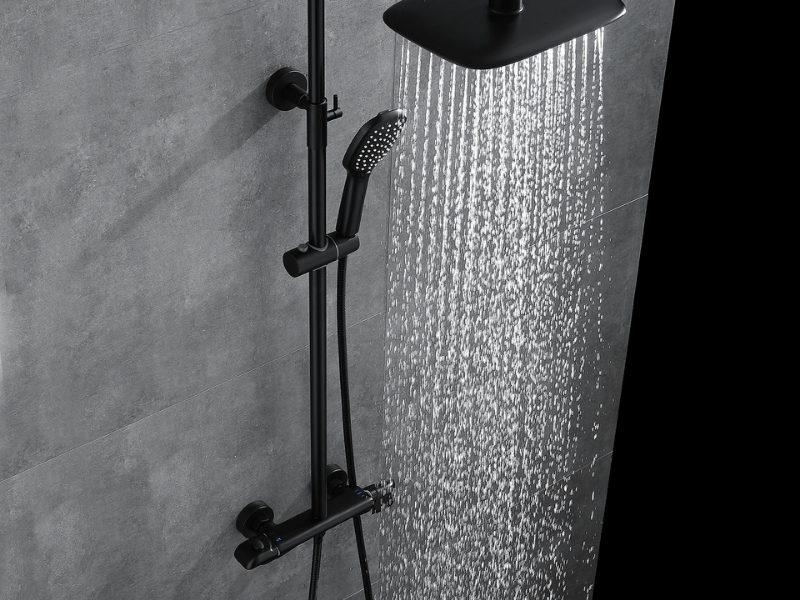 Thermostatic Shower System