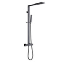 Amexty Exposed 2 Function Rainfall Shower Set with Handshower in Matte Black