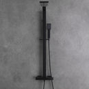Amexty Exposed 2 Function Rainfall Shower Set with Handshower in Matte Black