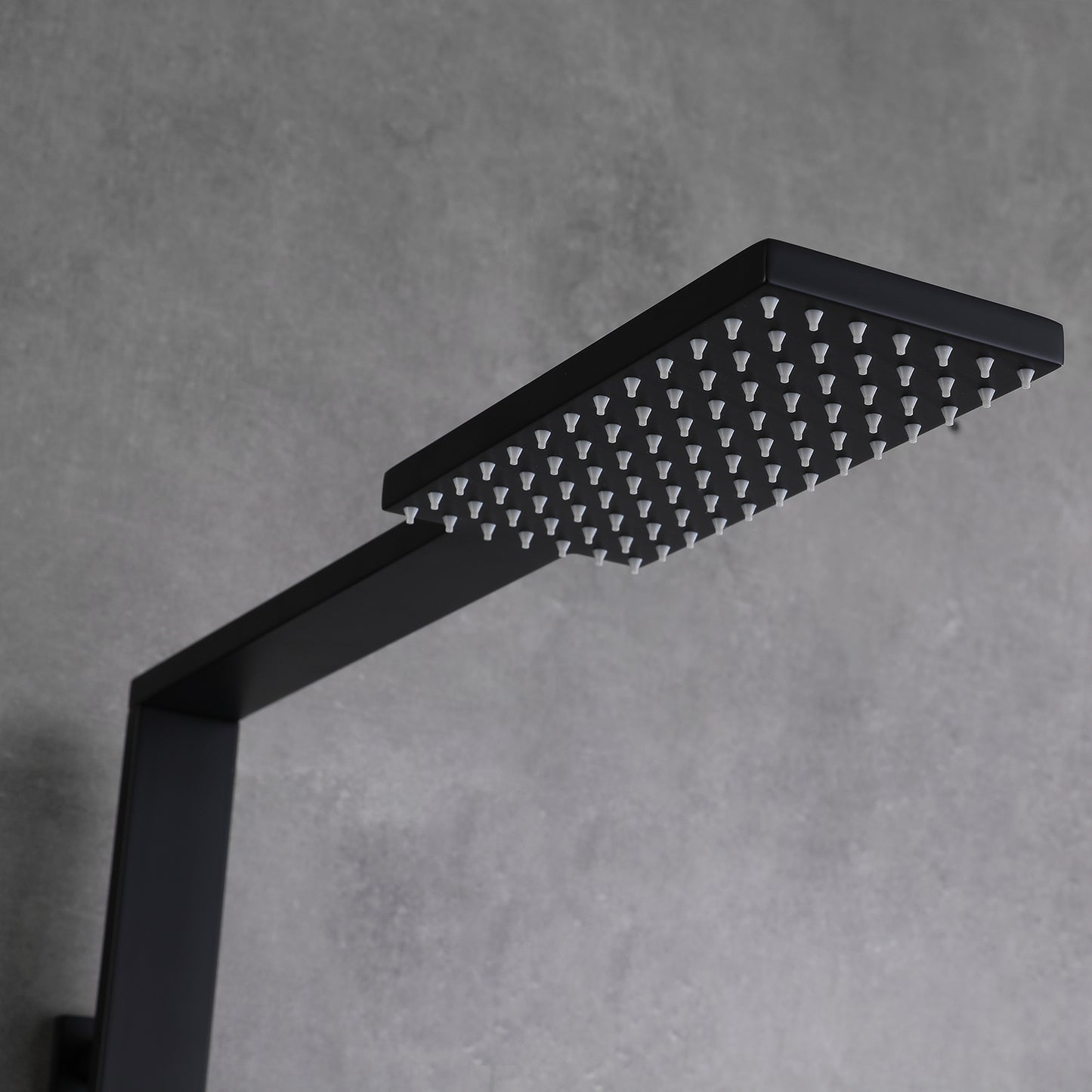 Amexty Exposed 2 Function Rainfall Shower Set with Handshower in Matte Black