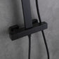 Amexty Exposed 2 Function Rainfall Shower Set with Handshower in Matte Black