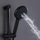 Chap Multi-Function Handheld Shower With Slide Bar And 59-In Long Hose