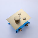 Tezo Wall Mounted 2-Function Thermostatic Shower System Kit