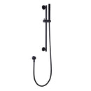 Dwell Brass Slide Bar Shower Head With 59 In Shower Hose