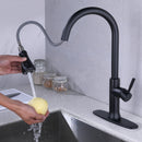 Goavi Matte Black Pull Down Touchless Single Handle Kitchen Faucet