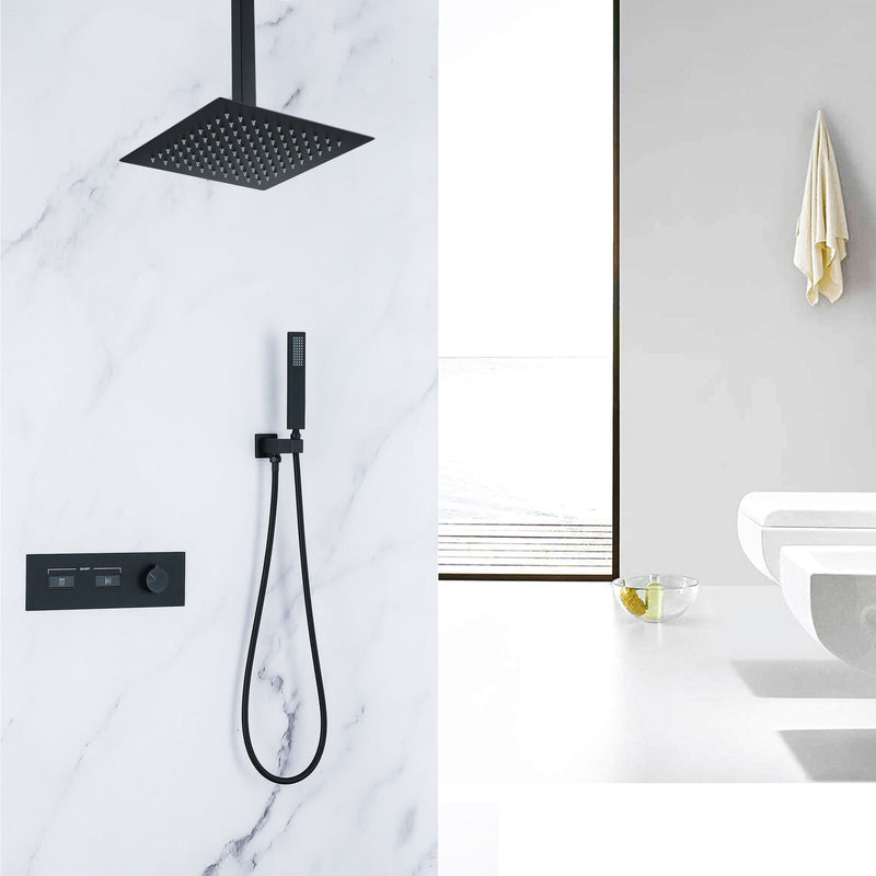 Swerve Ceiling Mounted 10 In Shower System with Handheld Shower in Matte Black