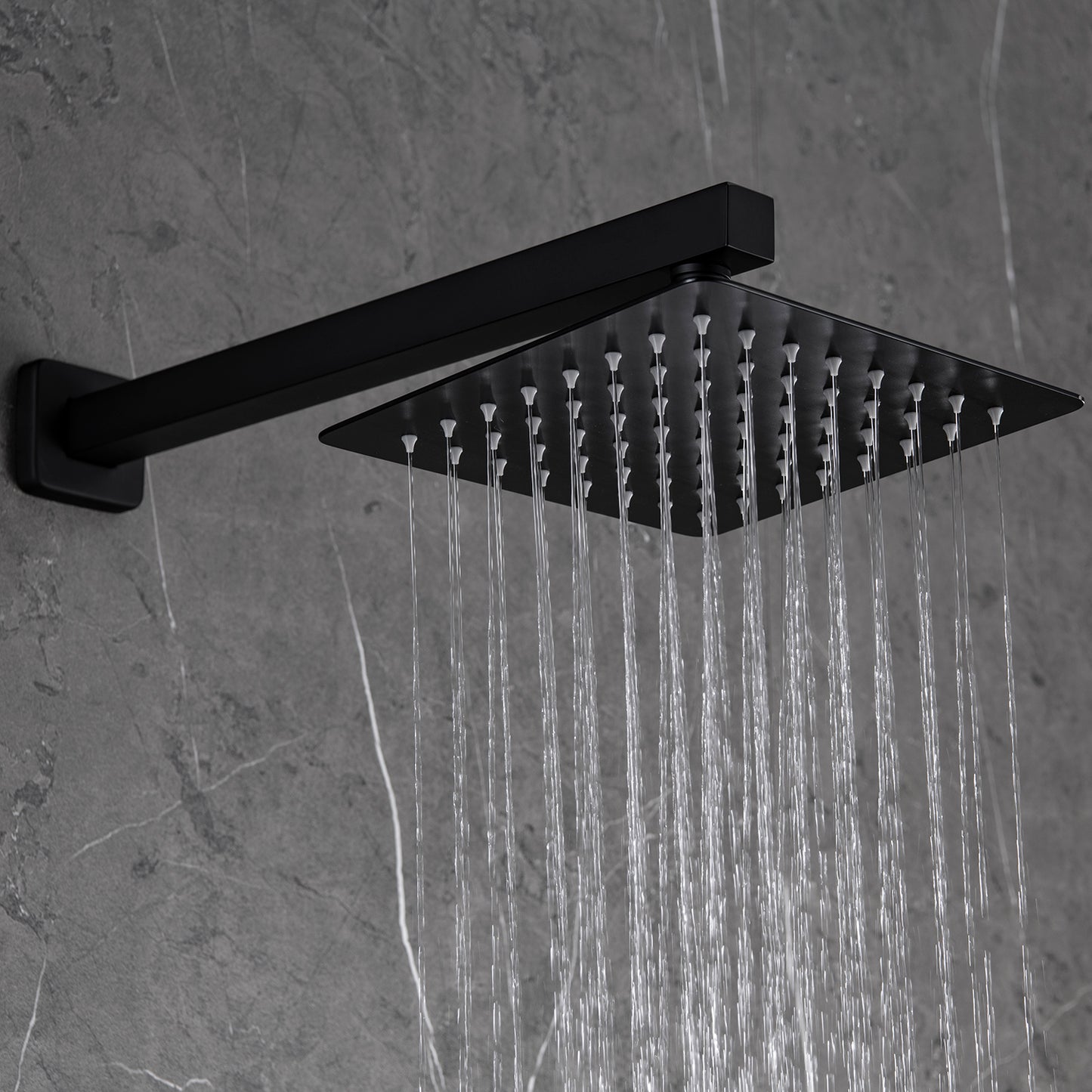 Hogesa Wall Mounted 10 In Rain Shower with handheld Concealed Valve