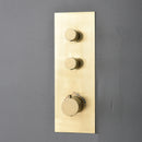 Vionel 10 In Thermostatic Shower System Handshower in Brushed Gold