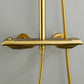 Ortoly Pressure Balanced Shower System with Handshower in Brushed Gold