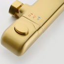 Ortoly Pressure Balanced Shower System with Handshower in Brushed Gold