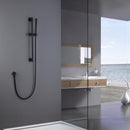 Dwell Brass Slide Bar Shower Head With 59 In Shower Hose