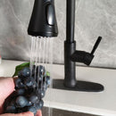 Goavi Matte Black Pull Down Touchless Single Handle Kitchen Faucet