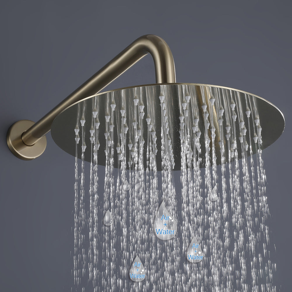 Sosano Wall Mount 10 In Shower System with and Handheld